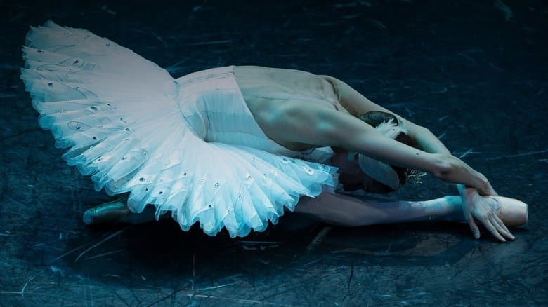 Opéra national de Paris 2024: Schwanensee